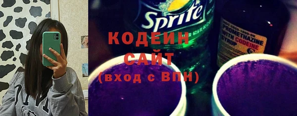 прущий лед Алзамай