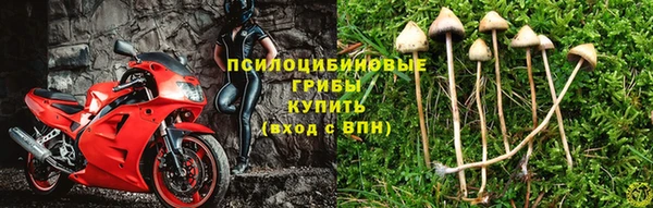 герыч Алексин